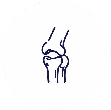 Orthopaedics 